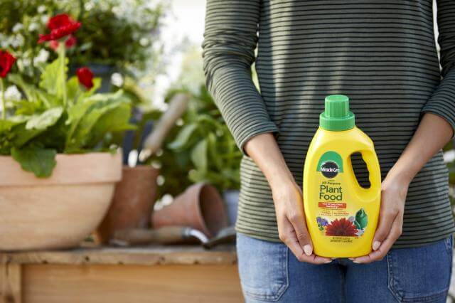 all purpose liquid plant fertilizer Miracle-Gro® Liquid All Purpose Plant Food - Cullman, AL