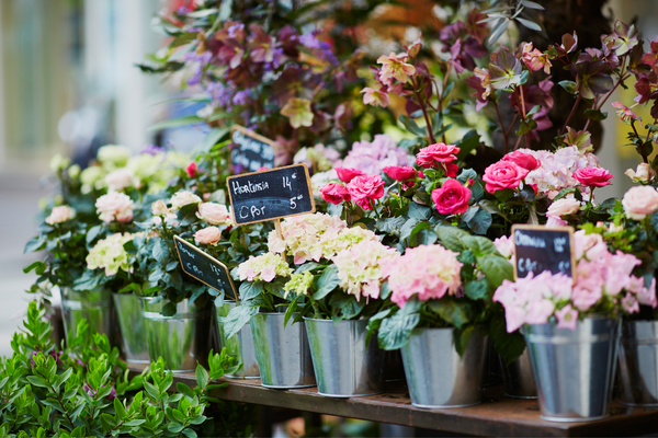 Flower's market