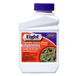 Eight Insect Control Vegetable, Fruit, Flower Insecticide, 16-oz ...