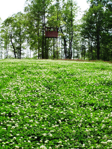 Rackmaster Clover Trio Food Plot Seed - 5 Lbs By Pennington, Attract Deer