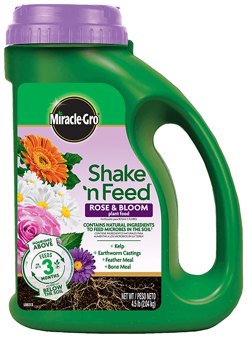 Miracle-Gro® Shake 'n Feed® Rose & Bloom Plant Food - Cullman, AL ...
